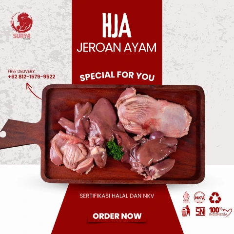 Thumbnail HJA Jeroan Ayam